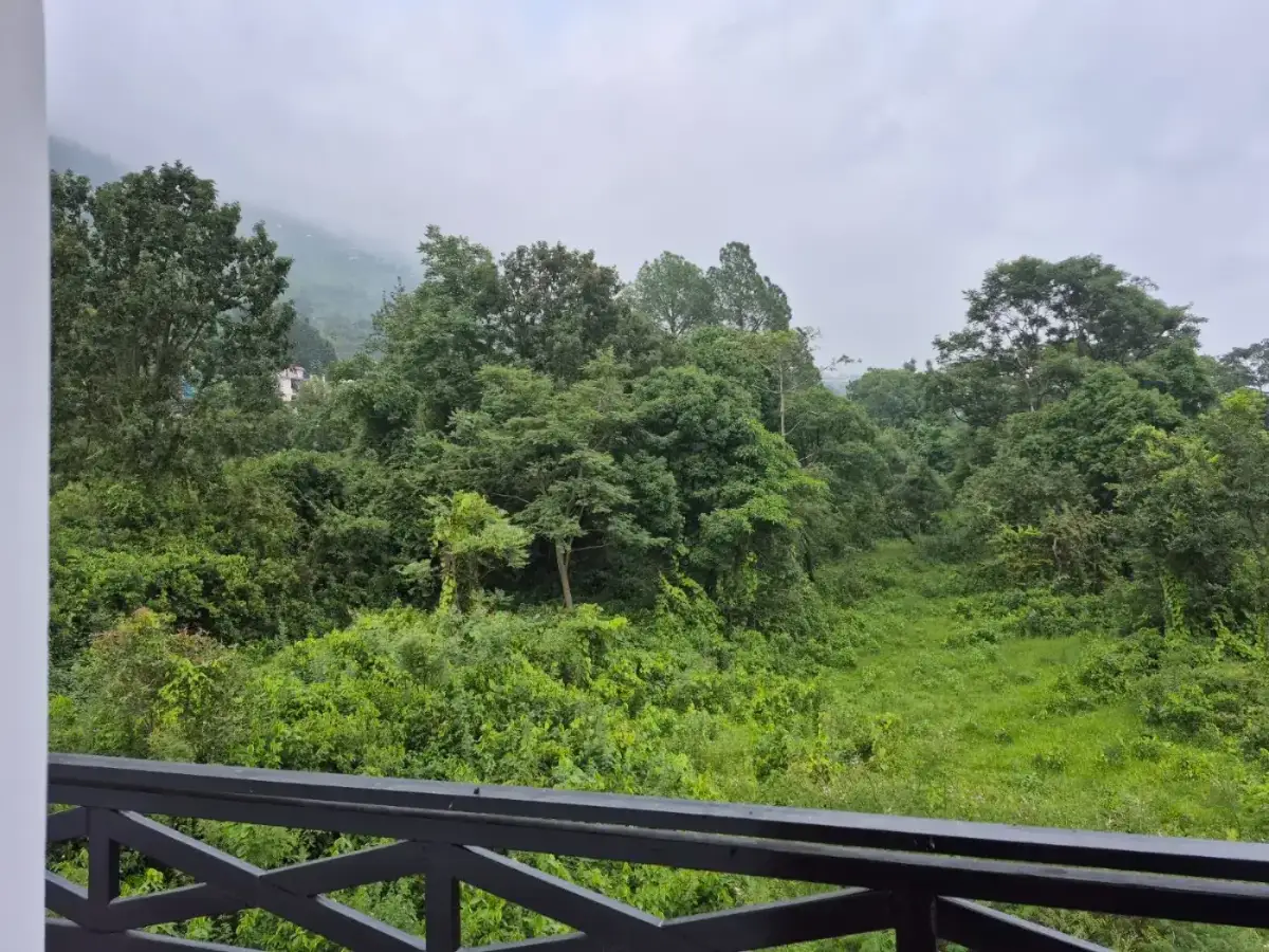 Forest ridge beyond the property