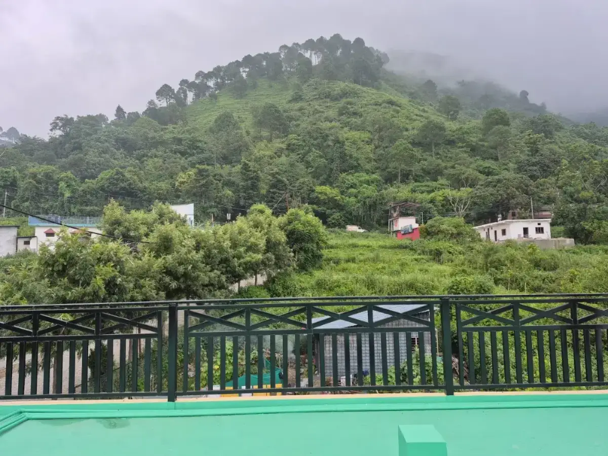 View from the rooftop terrace